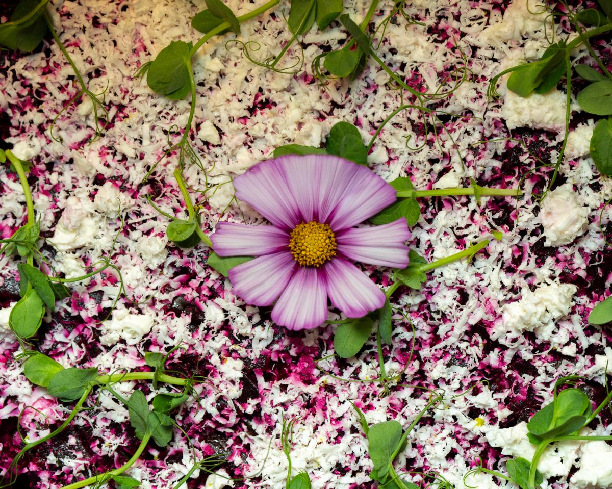 Brunch - Paris 14 - Drawing House