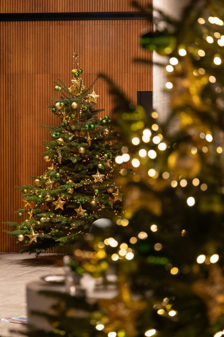 Drawing House - Menus de fêtes