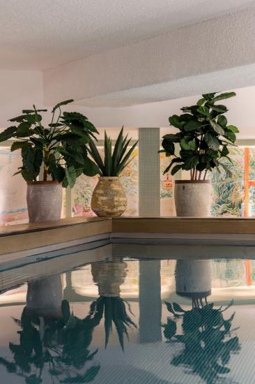Drawing House - Piscine