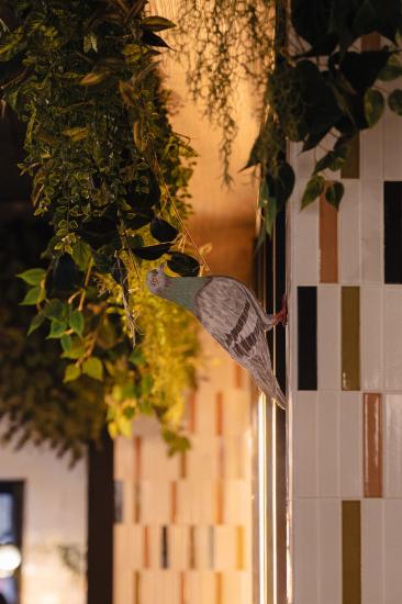 Drawing House - Restaurant - Le Ramier - Montparnasse - Place Catalogne - Paris