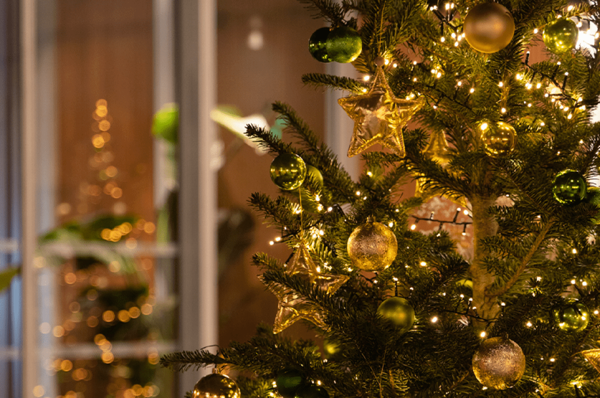 Noël - Drawing House - Le Ramier - Dîner - Réveillon